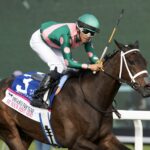 Barbara D. Livingston - Daily Racing Form