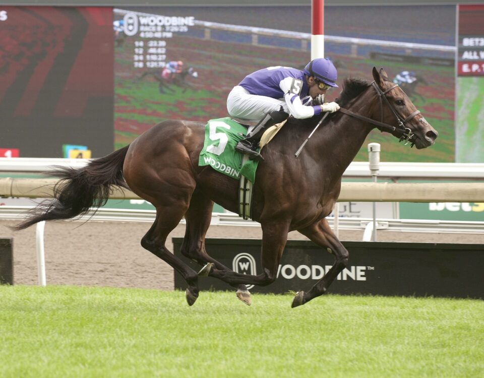 Candy Quest - Ontario Colleen Stakes G3T - Michael Burns Photo