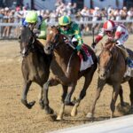 Chancer McPatrick - Curlin Stakes - Debra A. Roma - Daily Racing Form