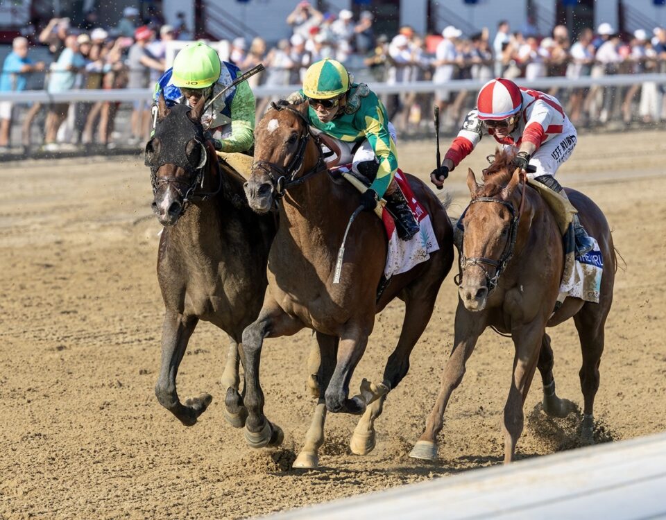 Chancer McPatrick - Curlin Stakes - Debra A. Roma - Daily Racing Form