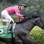 Classic Q - Foto: Barbara D. Livingston - Daily Racing Form