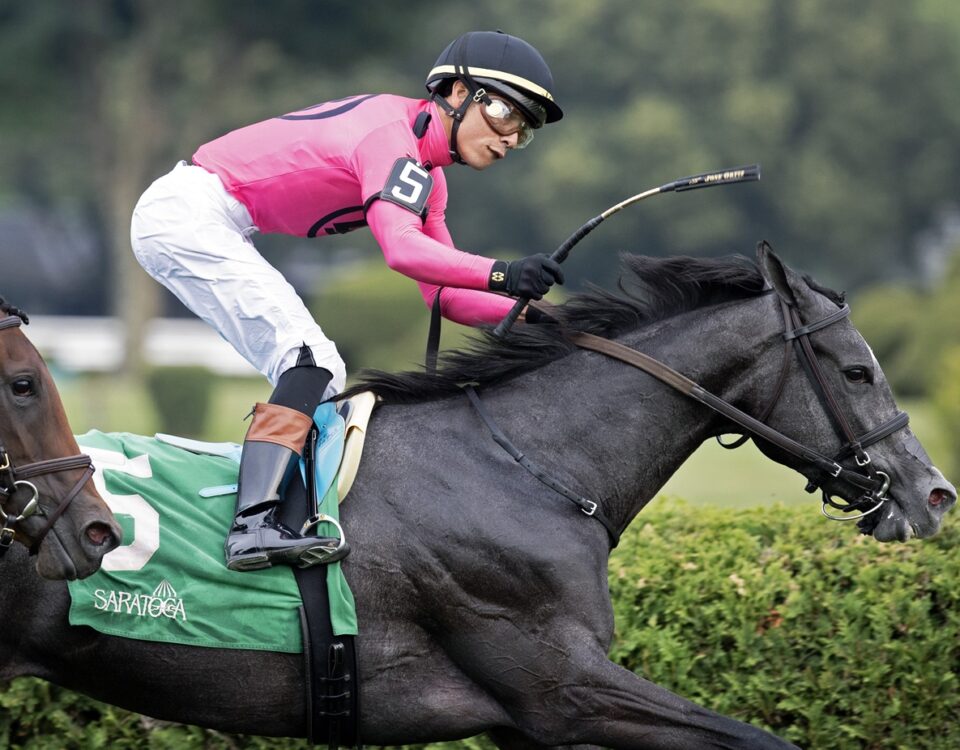 Classic Q - Foto: Barbara D. Livingston - Daily Racing Form