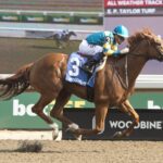 Creed's Gold - Hendrie Stakes - Michael Burns Photo
