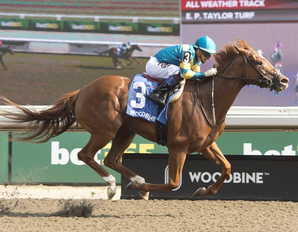 Creed's Gold - Hendrie Stakes - Michael Burns Photo