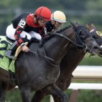 Doc Sullivan - Barbara D. Livingston - Daily Racing Form