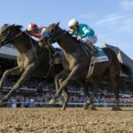Domestic Product - Barbara D. Livingston - Daily Racing Form