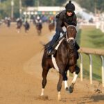 Fierceness Workout - Barbara D. Livingston - Daily Racing Form