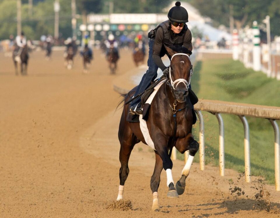 Fierceness Workout - Barbara D. Livingston - Daily Racing Form