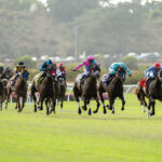 Oceanside Stakes 2024 at Del Mar - Benoit Photo