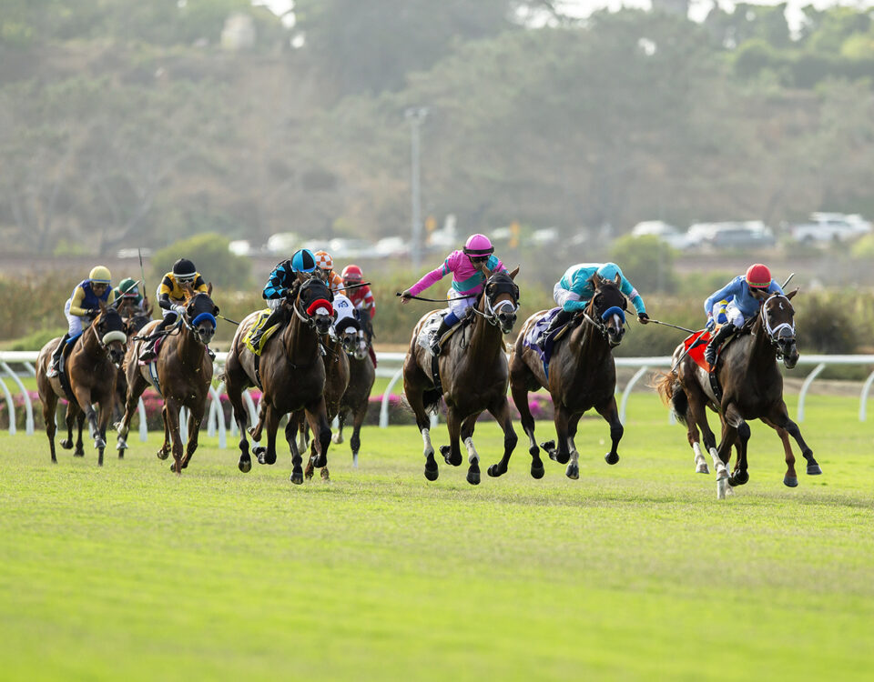 Oceanside Stakes 2024 at Del Mar - Benoit Photo