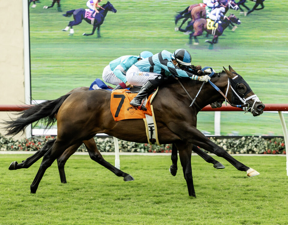 Game Warrior - Oceanside Stakes - Del Mar Thoroughbred Club - © BENOIT PHOTO