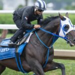 Howard Wolowitz - Barbara D. Livingston - Daily Racing Form