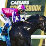 Johannes - Eddie Read Stakes G2T - Benoit Photo
