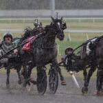 Karl, ganador del Hambletonian en 2024 – Foto: Mike Lizzi / DRF Harness