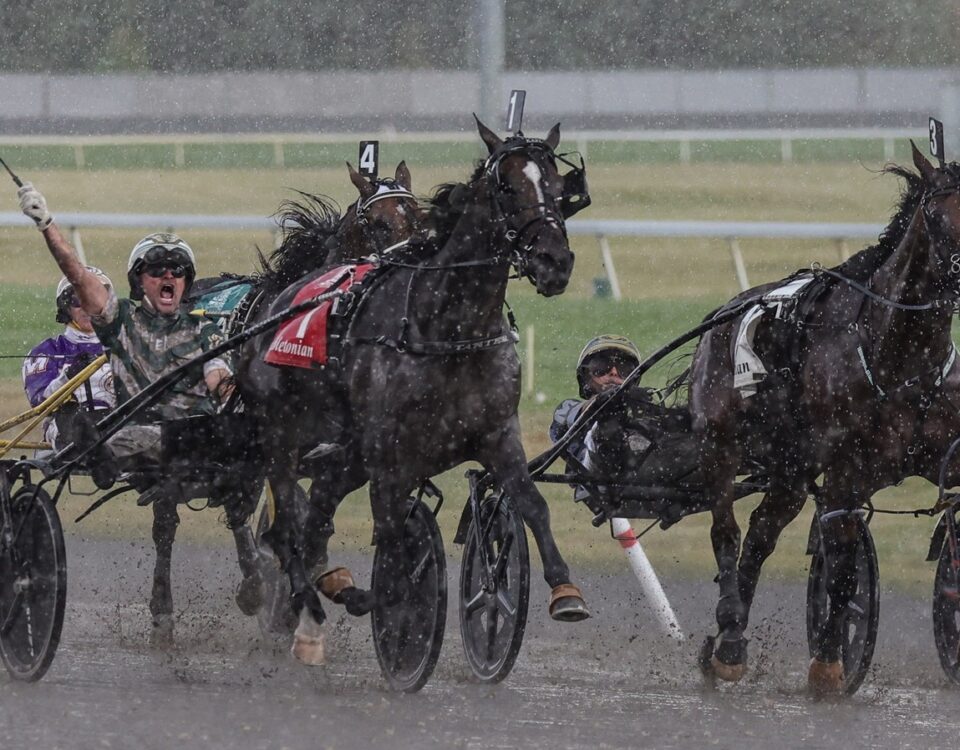 Karl, ganador del Hambletonian en 2024 – Foto: Mike Lizzi / DRF Harness