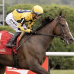 La Mehana - Glens Falls Stakes G2T - Barbara D. Livingston - Daily Racing Form