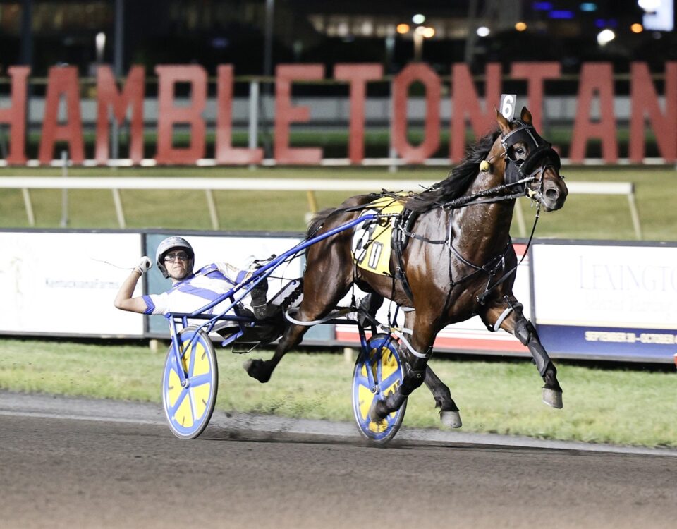 Legendary Hanover, ganador en 2024 - Meadowlands - Foto: Nikki Sherman / DRF Harness