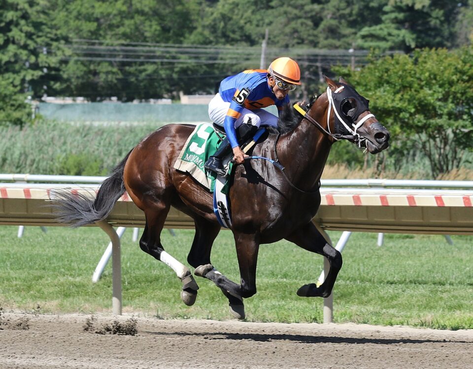 Neoequos - Jersey Shore Stakes - Bill Denver/EQUI-PHOTO