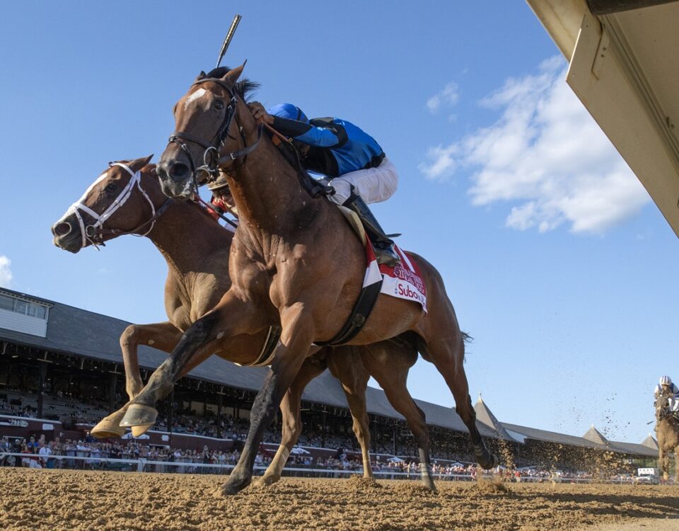 Phileas Fogg - Barbara D. Livingston - Daily Racing Form