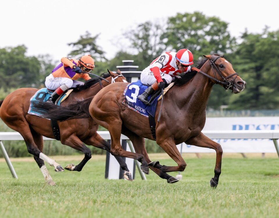 Redistricting - United Nations Stakes G2 - Nikki Sherman/EQUI-PHOTO