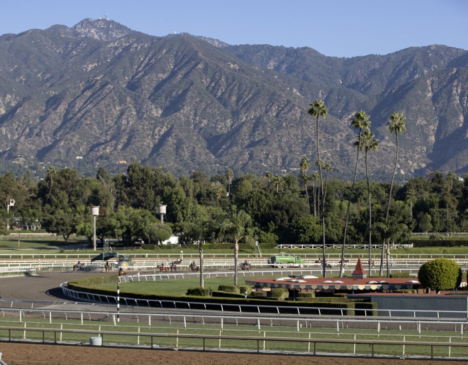 Santa Anita Park - Barbara D. Livingston - Daily Racing Form