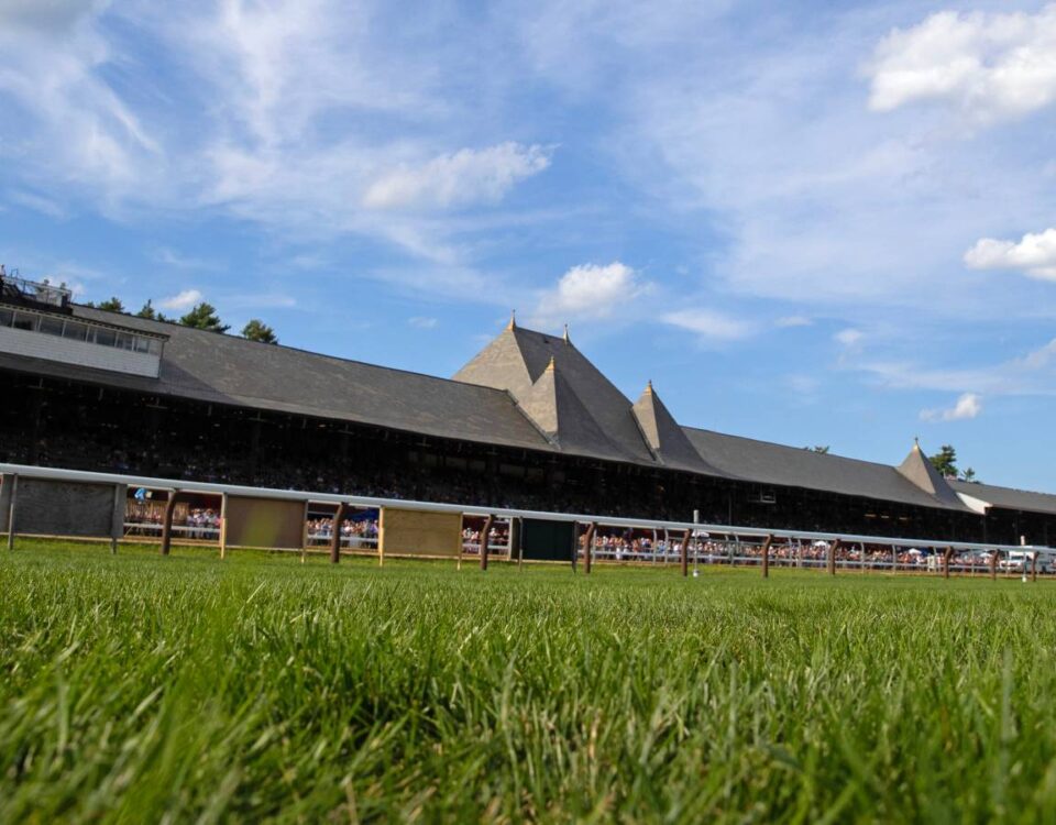Saratoga Turf Course - Barbara D. Livingston - Daily Racing Form