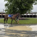 2025 Fasig-Tipton 2 Year-Olds in Traing Sale, Timonium, MD