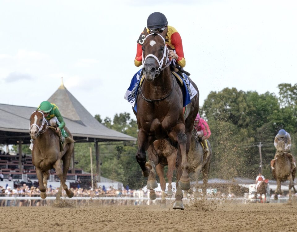 Smoken Wicked - Amsterdam Stakes G2 - Barbara D Livingston - Daily Racing Form