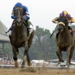 Sovereignty - Barbara D. Livingston - Daily Racing Form