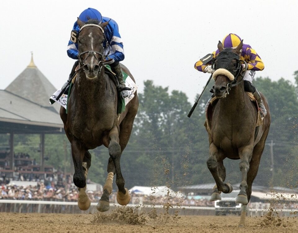 Sovereignty - Barbara D. Livingston - Daily Racing Form