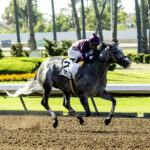 Sweet Azteca - GII $200,000 Great Lady M Stakes - Benoit Photo
