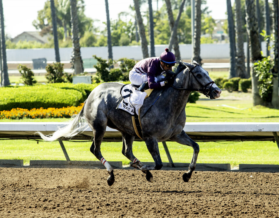Sweet Azteca - GII $200,000 Great Lady M Stakes - Benoit Photo