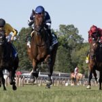 Test Score - Barbara D. Livingston - Daily Racing Form