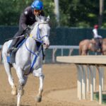 White Abarrio - Barbara D. Livingston - Daily Racing Form