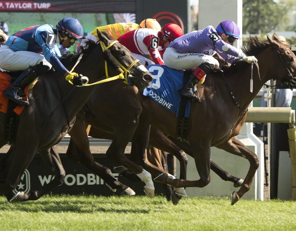 Toronto ON, July 27, 2025.Woodbine Racetrack.Jockey Ryan Munger guides Sweet Passions (Purple silks #3) to victory in the $100,000 dollar Thunder Bay Stakes.Sweet Passions is owned by The Estate of Paul M. Buttigieg and trainer Richard Hayashi. Woodbine/ Michael Burns Photo