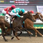 Woodbine action - Michael Burns Photo