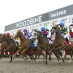 Woodbine Start - Michael Burns Photo