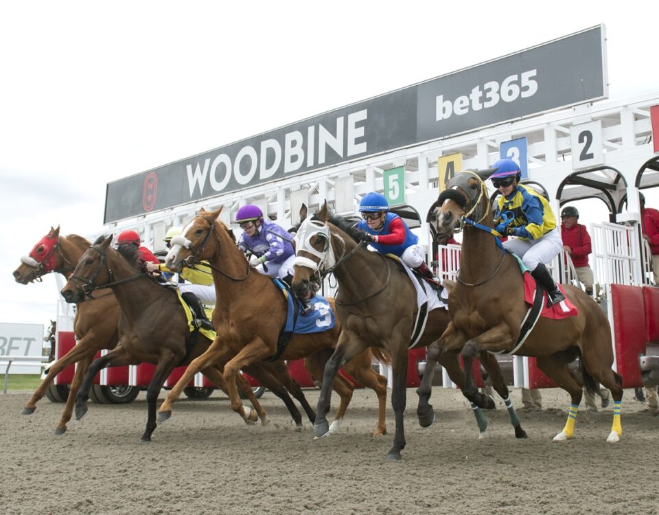 Woodbine Start - Michael Burns Photo