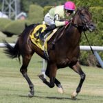 Zulu Kingdom - Barbara D. Livingston - Daily Racing Form