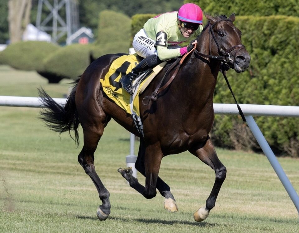 Zulu Kingdom - Barbara D. Livingston - Daily Racing Form
