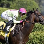 Zulu Kingdom - Barbara D. Livingston - Daily Racing Form