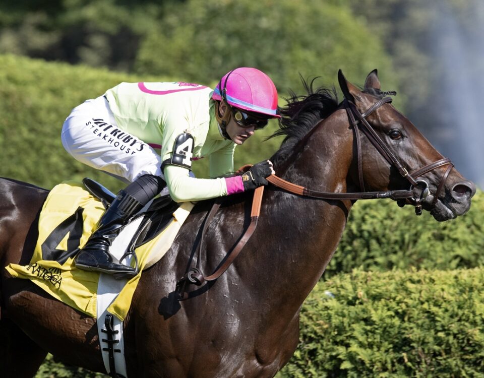 Zulu Kingdom - Barbara D. Livingston - Daily Racing Form