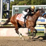 Dry Powder - Cathryn Sophia Stakes - Parx Racing - Nikki Sherman/EQUI-PHOTO