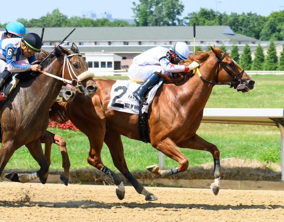 Fair And Square - credit: Dale Dengerd, JJ Zamaiko Photography