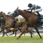 Vice Regent Stakes - Artemus Citylimits - Woodbine - credit: Michael Burns