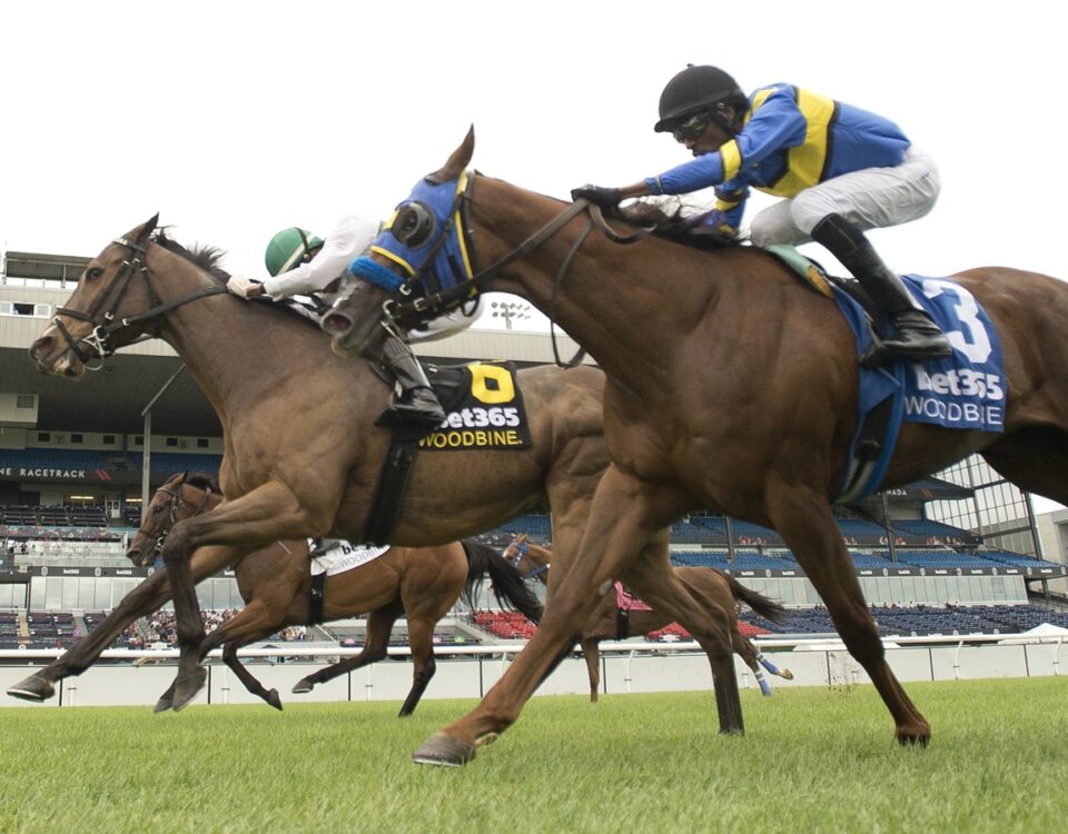 Vice Regent Stakes - Artemus Citylimits - Woodbine - credit: Michael Burns