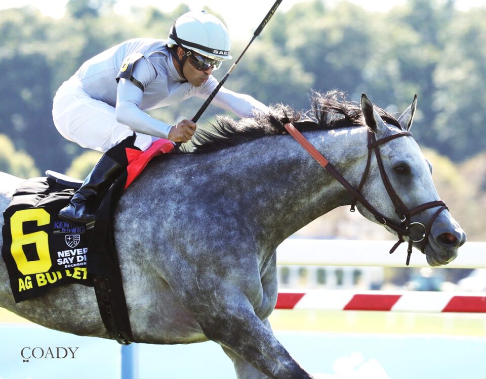Ag Bullet - Ladies Turf Sprint G2 - Coady Media
