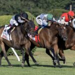 Awesome Czech - Yaddo Stakes - Barbara D. Livingston - Daily Racing Form