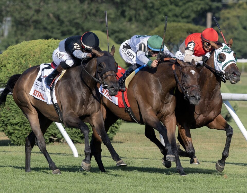 Awesome Czech - Yaddo Stakes - Barbara D. Livingston - Daily Racing Form