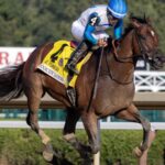 Book'em Danno - Forego G1 - Barbara D. Livingston / Daily Racing Form